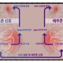 올나잇 피트니스 작전점 이미지