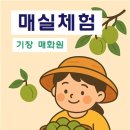 은솔어린이집 이미지