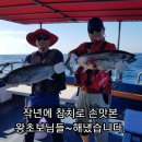 현참치 이미지