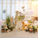 하니비디오 | 베로나지디 돌잔치 홈비디오 스타일 하이키즈 계약 후기