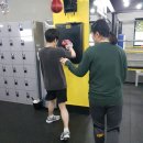 메이저 복싱짐 이미지