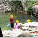 엄씨농장 이미지