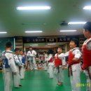 경북대드림태권도장 이미지