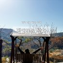판도라의 상자 | 경북 성주 펜션 추천! 가성비 좋은 산뷰 힐링 숙소, 판도라의 상자