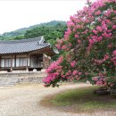 명옥헌민박 이미지