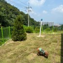 젤리뽀개린이집 이미지