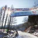 아름다운 대한민국 이야기 6 - 인제 원대리 자작나무 숲 흰 눈과 자작나무 숲으로 떠나는 힐링 트레킹 이미지