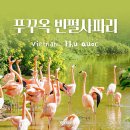 베트남 푸꾸옥 빈펄사파리 동물 먹이체험 앵무새 사진 찍기 체험(아기랑 걸어 다닌 후기)
