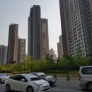 미사청과 이미지