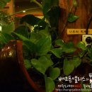 용연·용두암 이미지