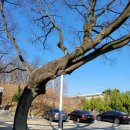 구천서당 이미지