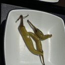 진국정돼지국밥 | 부산 강서구 명지 돼지국밥 맛집 연향정 항정돼지국밥 후기