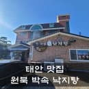 원북박속낙지탕 | 원북 박속낙지탕 태안맛집추천 몸보신음식 내돈내산리뷰