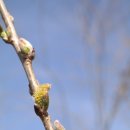 참새골약수터 이미지