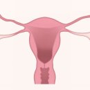 이혜미산부인과의원 이미지