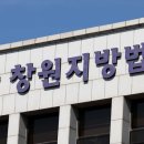 더놀자 이미지