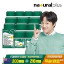 하이초도 이미지