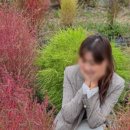 경원해물찜 범어점 이미지