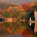 그때그자리 이미지