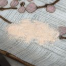 서울하이동물의료센터 | 팥심이 항문종양수술 일기 (서울하이동물의료센터)