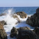 블루로드 이미지