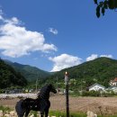 명지산 패밀리 펜션 이미지