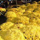 백재호 카카오 검색결과