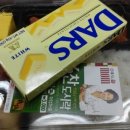 노벨라사 이미지