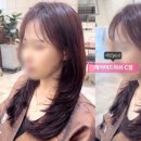 헤어여기로 이미지