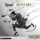 스펀지 이미지