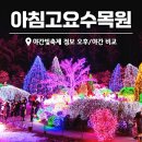 (야간)겨울 밤의 플로리스트(1월) | 가평 겨울 여행 갈만한곳 아침고요수목원 오후 VS 야간 빛축제