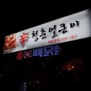 청춘얼큰이 이미지