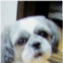 미성동-29 이미지