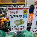 주타코 이미지