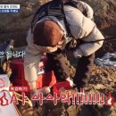 도시어부 박프로 이미지