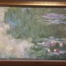 중앙동148 이미지