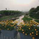 산골화로구이 네이버블로그
