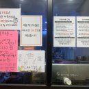 야옹야옹 캣카페 네이버블로그