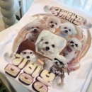 명견 | 티싸요 커스텀 우정티셔츠주문제작 반려동물 굿즈 티셔츠제작후기