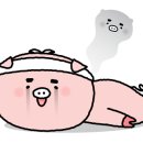 빈체로 휘트니스 네이버블로그