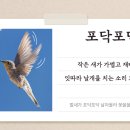 포닥 Daum카페