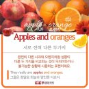 연지과일