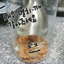 마시쩡 - 군포시 금당로115번길 2 | 마시쩡