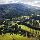 일세기농장 이미지