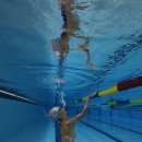 피에이비 이미지