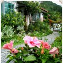 꽃님이네 이미지