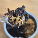 씨유편의점 | 카다이프 초코 브라우니 씨유 편의점 두쫀쿠 내돈내산 후기