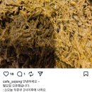 카페소종 | 김포 두바이 쫀득쿠키 맛집 카페소종｜풍무동 두쫀쿠 판매시간·웨이팅 솔직후기