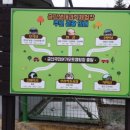 금산국민여가캠핑장 이미지