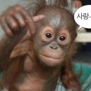 만복국수집명지 이미지